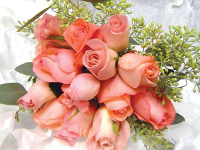 horticulture the rise and fall of the flower industry horticulture the rise and fall of the flower industry