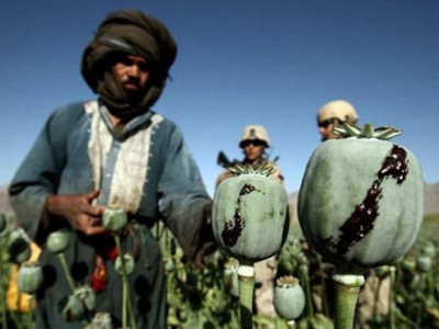 there can be no war on terror without war on drugs there can be no war on terror without war on drugs