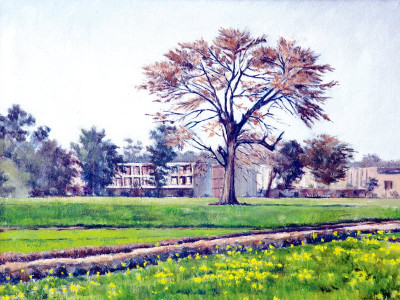 the great beyond symphonies in landscapes evokes an outdoorsy experience the great beyond symphonies in landscapes evokes an outdoorsy experience