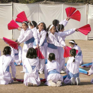sports day flying daredevils flower children steal the day
