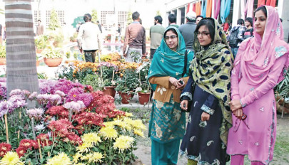 uaf exhibition organic vegetables flowers attract visitors
