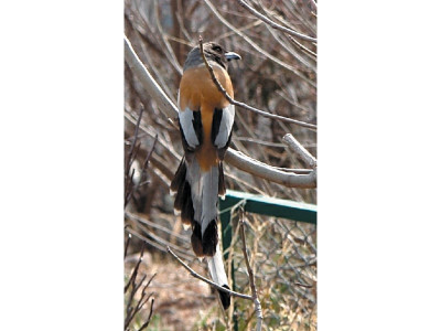 up north and personal up on the roof up north and personal up on the roof