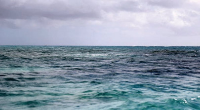 capture this the beauty of structures