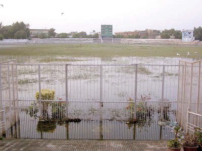 cricket history drowning in the puddles