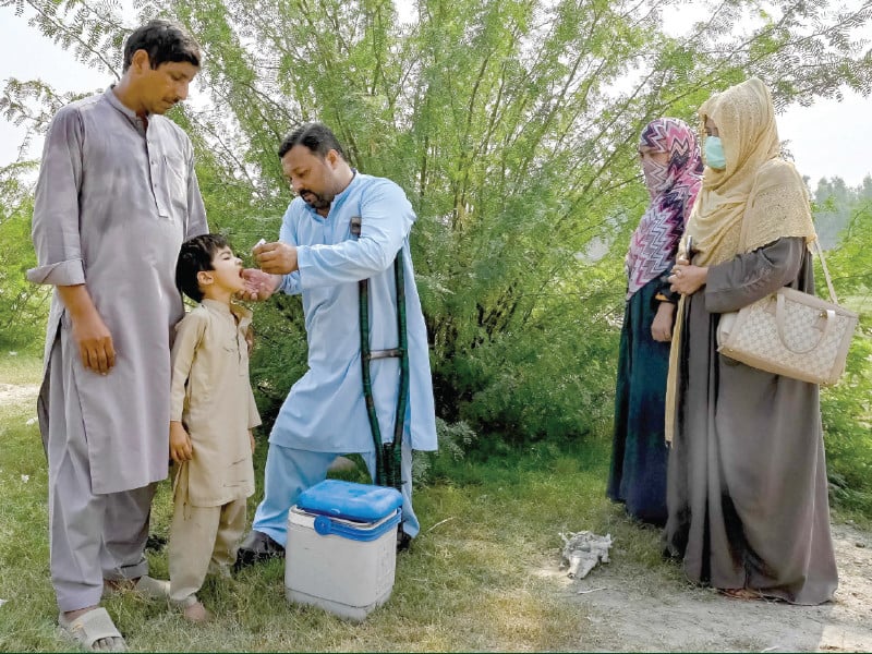 a health worker administers polio drops to a child during a door to door vaccination campaign on the outskirts of peshawar militant attacks and misinformation are hampering the battle to eradicate polio but teams of dedicated volunteers remain steadfast photo afp