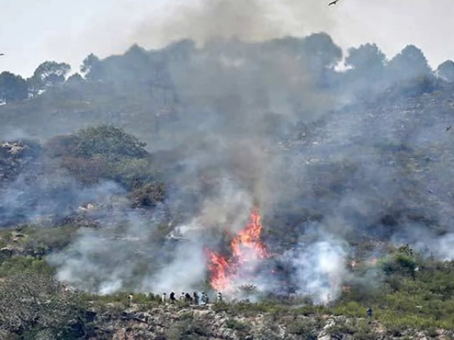 Fire Erupts at Three Points in Margalla Hills