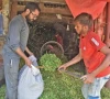 livestock prices decline on eve of eid