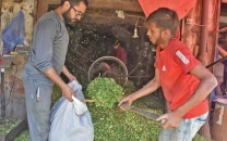 livestock prices decline on eve of eid