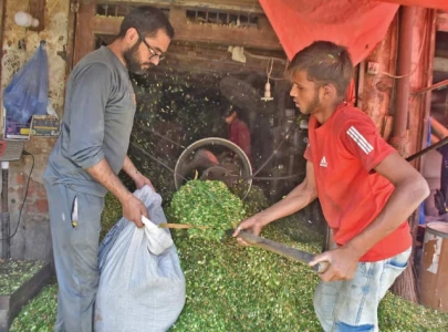 livestock prices decline on eve of eid