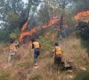 wildfires ravage kotli sattian forests wildfires ravage kotli sattian forests