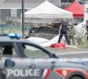skydiving plane crash kills 11 in france