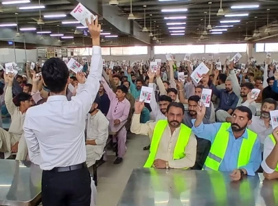 apparel sector joins global green drive