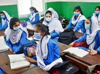 unregulated academies pose risks