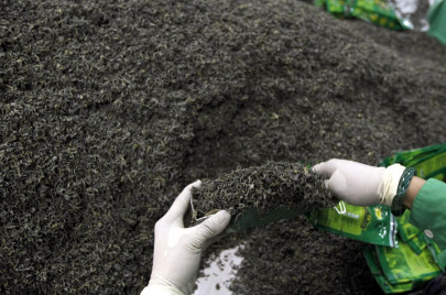 indian tea import rises as kenyan output drops