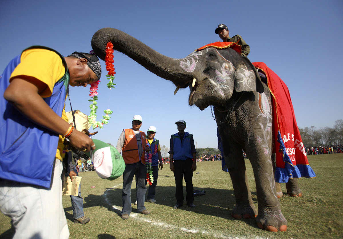 Updated Dec 29, 2011