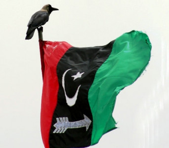 ppp s allies bemoan memogate stance