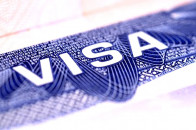 us freezes visa filings by it giants