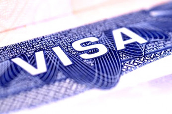 us freezes visa filings by it giants
