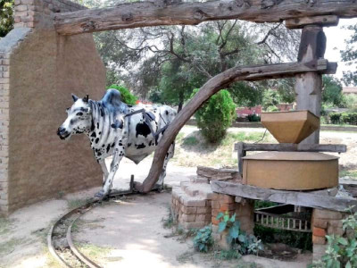 pha citizens abandon canal park pha citizens abandon canal park