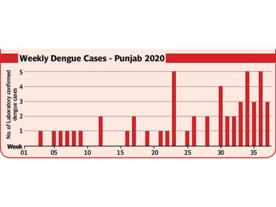 another health risk dengue threat looms