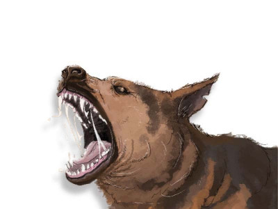 dog bite victims face arv shortage