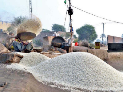 ministry looks to register basmati rice as local brand