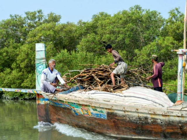 petroleum prices stifle local fisherfolk petroleum prices stifle local fisherfolk