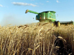 the r d conundrum choking our exports