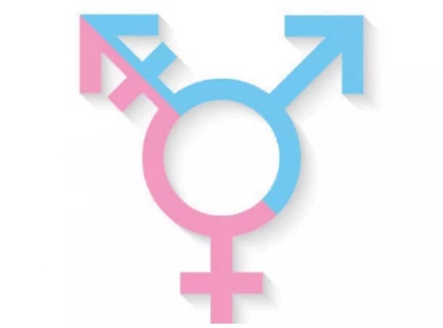 trans community seeks legislative representation