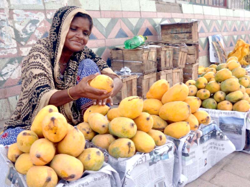 a roadside vendor sells mangoes to earn a living although grown in over a 100 countries the sindhri variety of the fruit is considered unique for its taste and aroma photo ppi