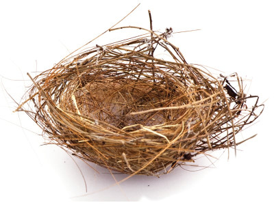 the empty cradle the empty cradle