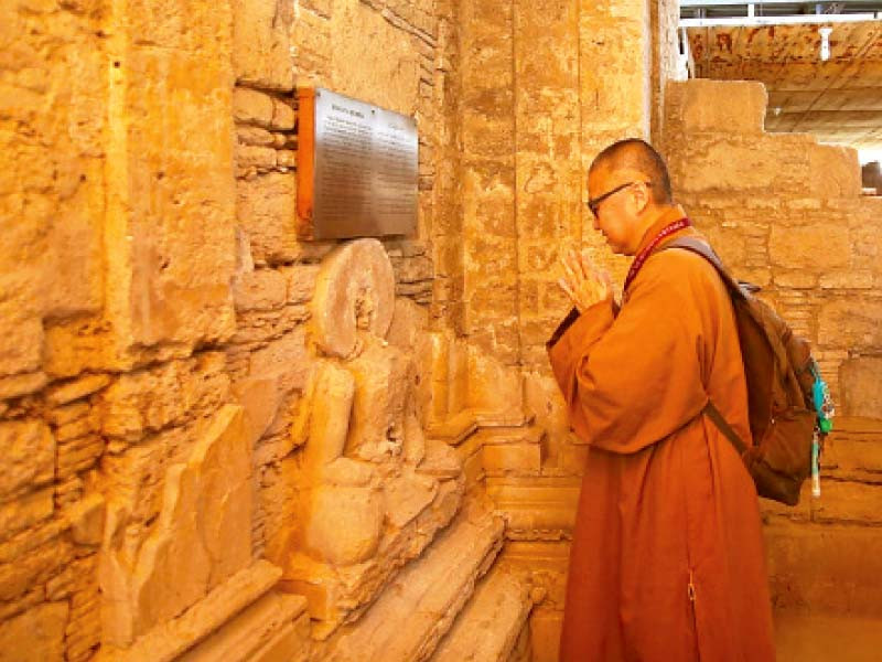 a monk pays homage to the healing buddha at the jualian stupa site in khanpur photos express