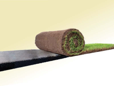 urban sprawl continues to consume greenbelts urban sprawl continues to consume greenbelts