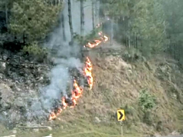 a fire in the dense forests of balakot photo express a fire in the dense forests of balakot photo express