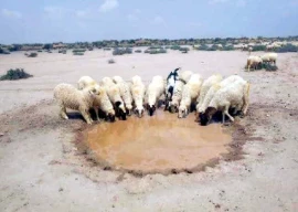water crisis in balochistan essay