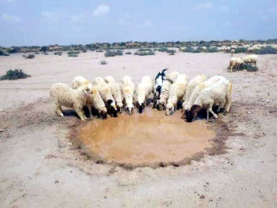 steps against water shortage yielding results steps against water shortage yielding results