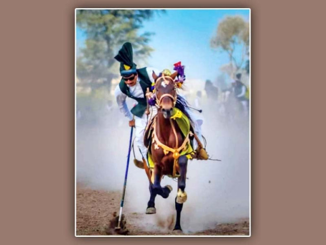 a horse rider picks the wooden peg amid clouds of dust rising from the ground photo express a horse rider picks the wooden peg amid clouds of dust rising from the ground photo express