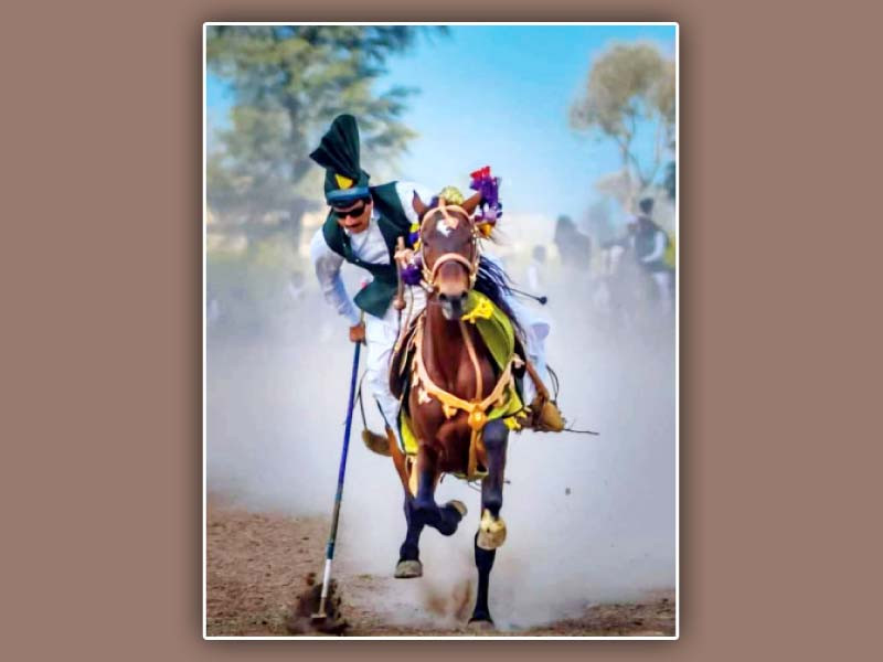 a horse rider picks the wooden peg amid clouds of dust rising from the ground photo express