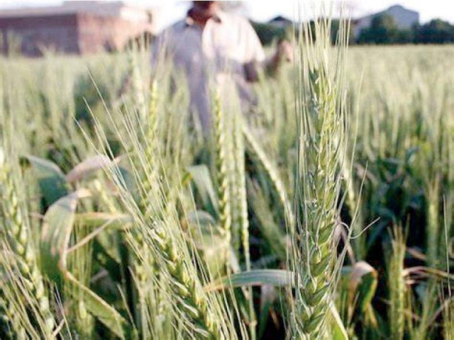 enhanced groundwater management is vital for a food secure economically vibrant and green pakistan photo file enhanced groundwater management is vital for a food secure economically vibrant and green pakistan photo file