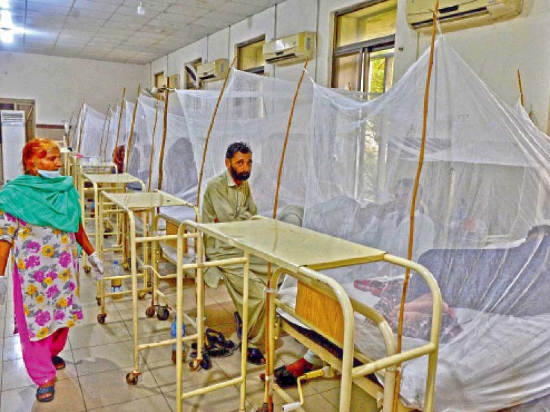 several dengue patients are isolated in mosquito nets at the benazir bhutto hospital rawalpindi photo online