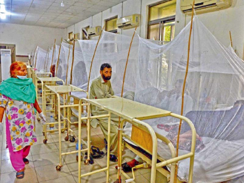 Dengue refuses to ebb in Punjab | The Express Tribune