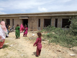 rescued from the brink now what