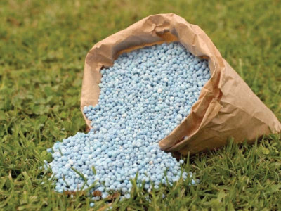 govt to import 200 000 mt of urea