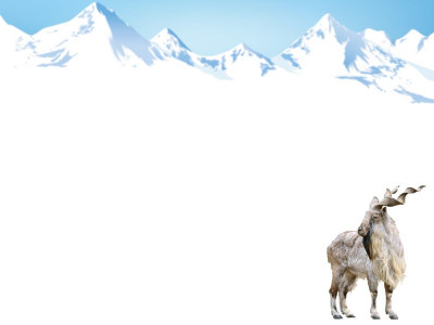 year of abnormalities capricious weather patterns to persist in 2012