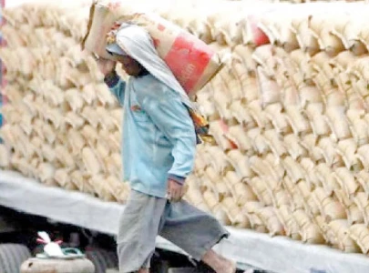 cement body files appeal against rs6 35b penalty