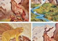 artists present their paintings highlighting endangered species and mountain ecosystems for evaluation by a jury and visitors during a captivating competition in the federal capital photos express