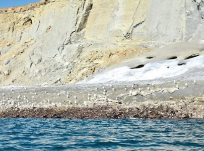 astola island s biodiversity at risk astola island s biodiversity at risk
