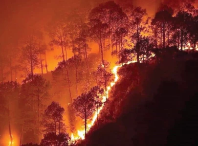 forest fires ravage kaghan valley