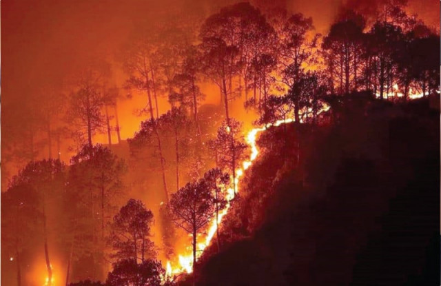 forest fires ravage kaghan valley forest fires ravage kaghan valley