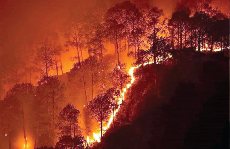 a blaze lights up the forests of bhonja valley in balakot khyber pakhtunkhwa photo zulfiqar ali express